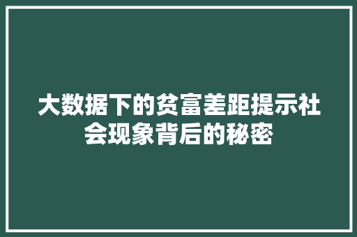 大数据下的贫富差距提示社会现象背后的秘密