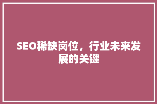 SEO稀缺岗位，行业未来发展的关键
