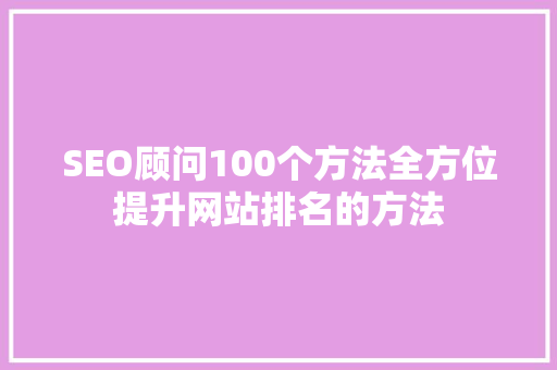 SEO顾问100个方法全方位提升网站排名的方法