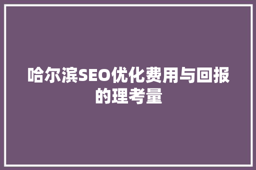 哈尔滨SEO优化费用与回报的理考量