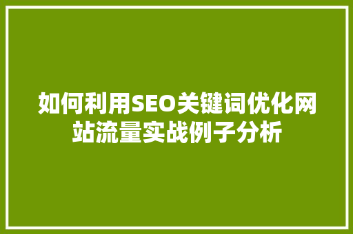 如何利用SEO关键词优化网站流量实战例子分析