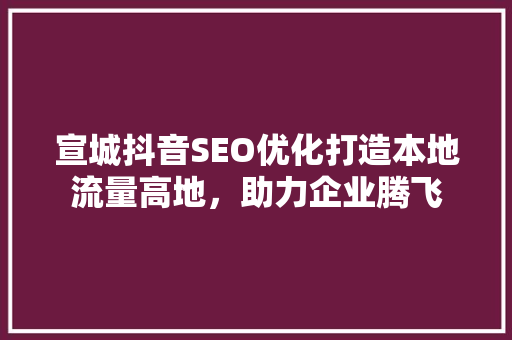 宣城抖音SEO优化打造本地流量高地，助力企业腾飞
