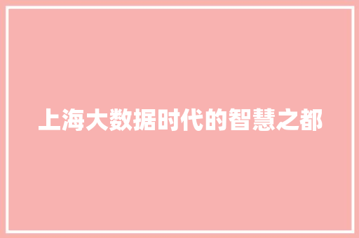 上海大数据时代的智慧之都