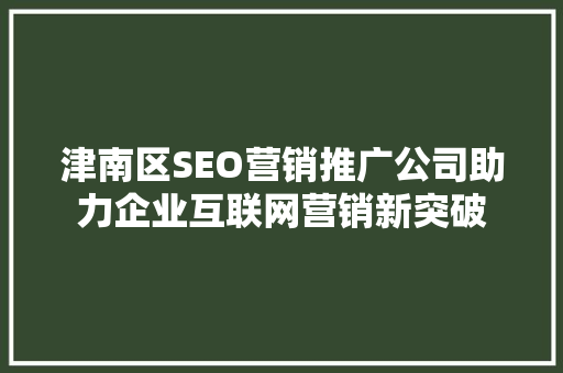 津南区SEO营销推广公司助力企业互联网营销新突破