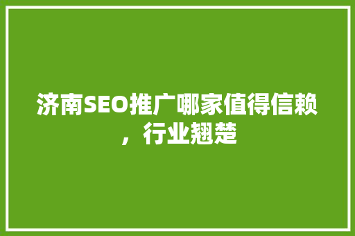 济南SEO推广哪家值得信赖，行业翘楚