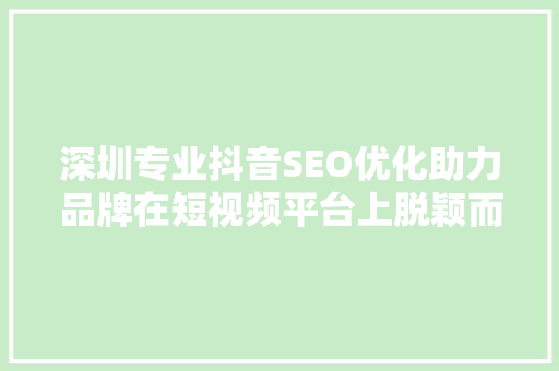 深圳专业抖音SEO优化助力品牌在短视频平台上脱颖而出