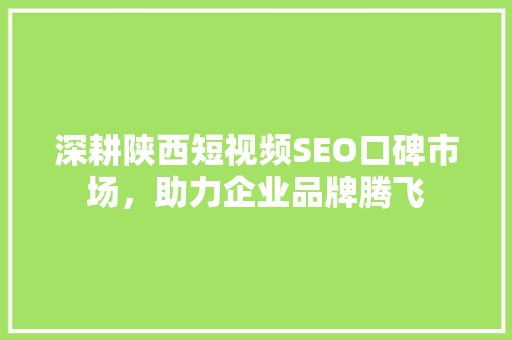 深耕陕西短视频SEO口碑市场，助力企业品牌腾飞