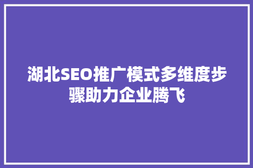 湖北SEO推广模式多维度步骤助力企业腾飞