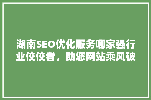 湖南SEO优化服务哪家强行业佼佼者，助您网站乘风破浪