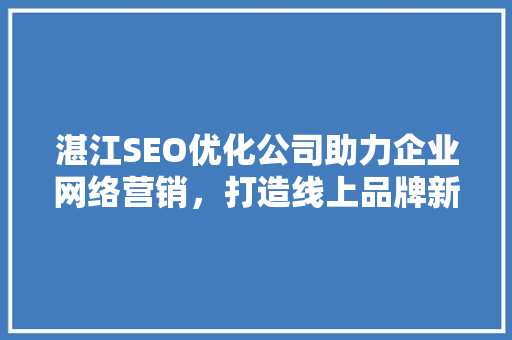 湛江SEO优化公司助力企业网络营销，打造线上品牌新高度