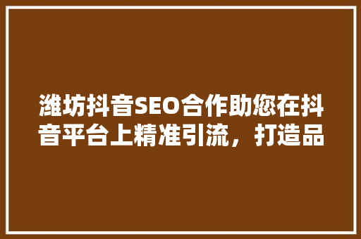 潍坊抖音SEO合作助您在抖音平台上精准引流，打造品牌新高度