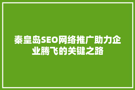 秦皇岛SEO网络推广助力企业腾飞的关键之路