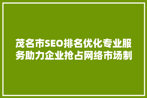 茂名市SEO排名优化专业服务助力企业抢占网络市场制高点