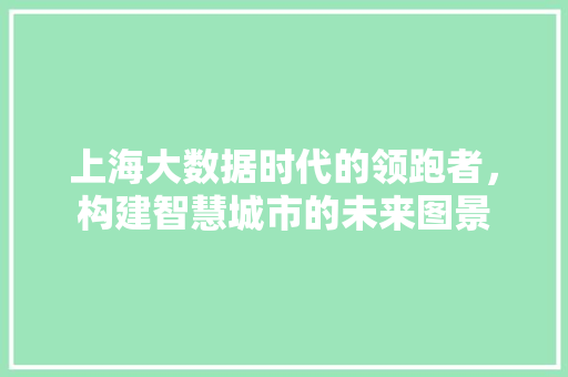 上海大数据时代的领跑者，构建智慧城市的未来图景