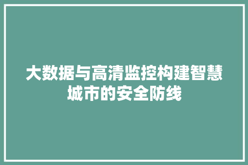 大数据与高清监控构建智慧城市的安全防线  第1张