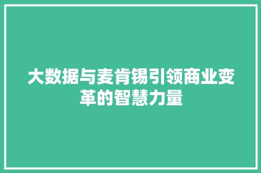 大数据与麦肯锡引领商业变革的智慧力量