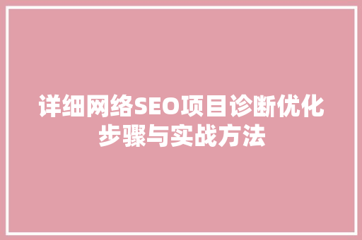 详细网络SEO项目诊断优化步骤与实战方法