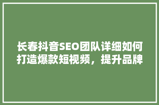 长春抖音SEO团队详细如何打造爆款短视频，提升品牌影响力