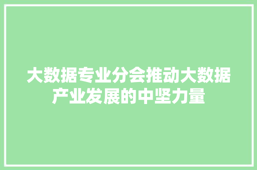 大数据专业分会推动大数据产业发展的中坚力量