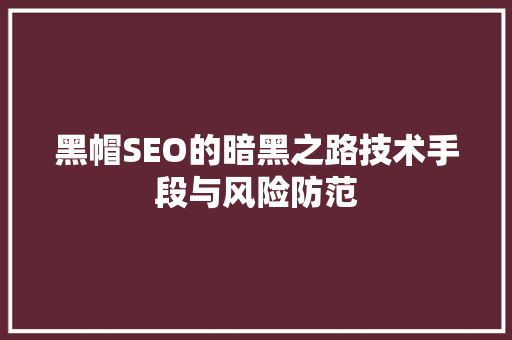 黑帽SEO的暗黑之路技术手段与风险防范