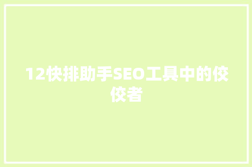 12快排助手SEO工具中的佼佼者
