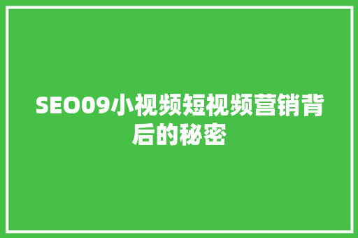 SEO09小视频短视频营销背后的秘密