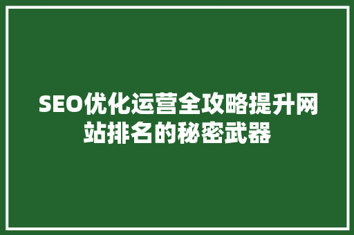 SEO优化运营全攻略提升网站排名的秘密武器