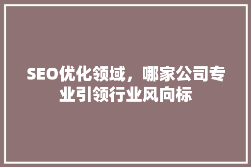 SEO优化领域，哪家公司专业引领行业风向标