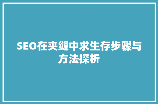 SEO在夹缝中求生存步骤与方法探析