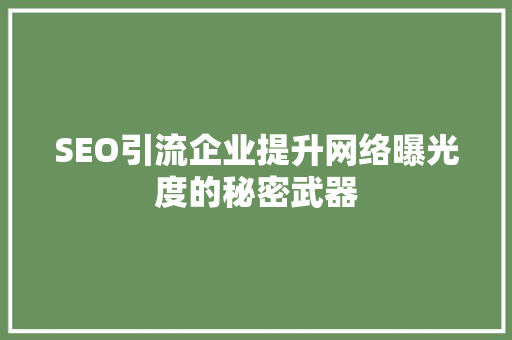 SEO引流企业提升网络曝光度的秘密武器