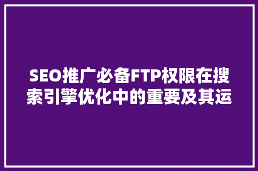 SEO推广必备FTP权限在搜索引擎优化中的重要及其运用