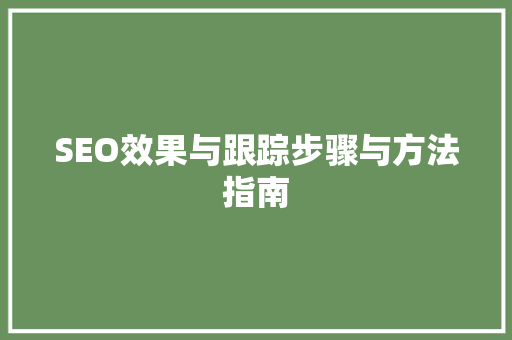 SEO效果与跟踪步骤与方法指南