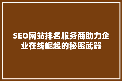 SEO网站排名服务商助力企业在线崛起的秘密武器