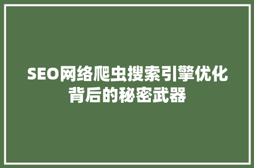SEO网络爬虫搜索引擎优化背后的秘密武器