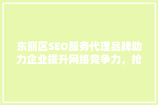 东丽区SEO服务代理品牌助力企业提升网络竞争力，抢占市场先机