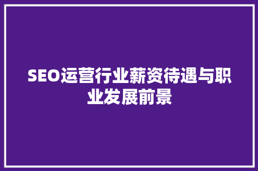 SEO运营行业薪资待遇与职业发展前景