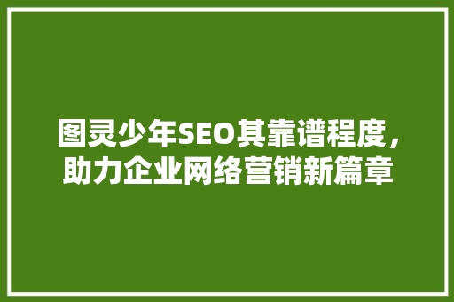 图灵少年SEO其靠谱程度，助力企业网络营销新篇章