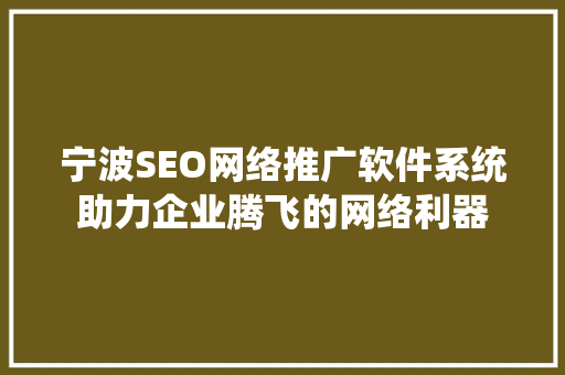 宁波SEO网络推广软件系统助力企业腾飞的网络利器