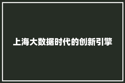 上海大数据时代的创新引擎