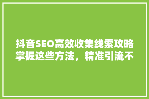 抖音SEO高效收集线索攻略掌握这些方法，精准引流不再难