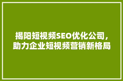 揭阳短视频SEO优化公司，助力企业短视频营销新格局