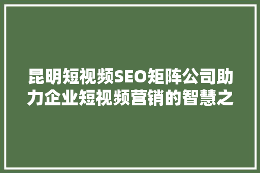 昆明短视频SEO矩阵公司助力企业短视频营销的智慧之选