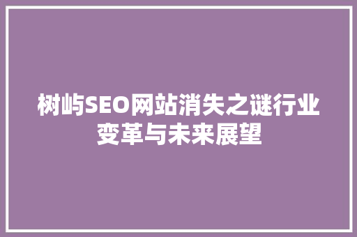 树屿SEO网站消失之谜行业变革与未来展望