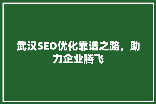 武汉SEO优化靠谱之路，助力企业腾飞