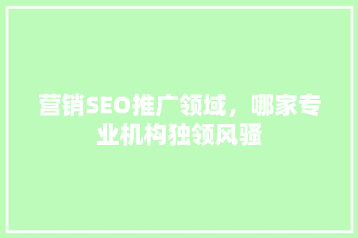 营销SEO推广领域，哪家专业机构独领风骚