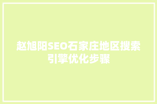 赵旭阳SEO石家庄地区搜索引擎优化步骤