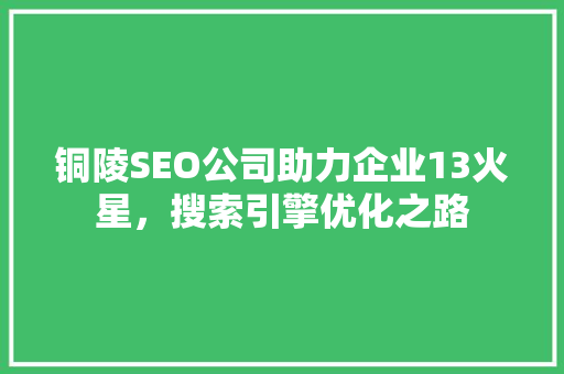 铜陵SEO公司助力企业13火星，搜索引擎优化之路