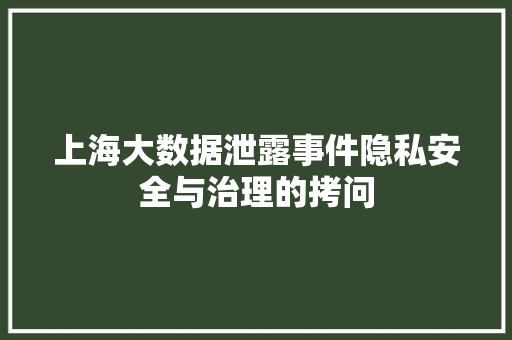 上海大数据泄露事件隐私安全与治理的拷问
