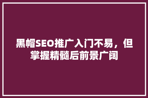 黑帽SEO推广入门不易，但掌握精髓后前景广阔