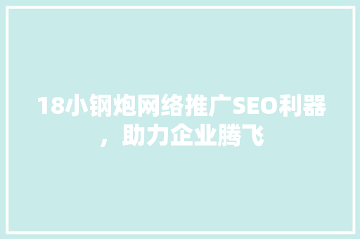 18小钢炮网络推广SEO利器，助力企业腾飞
